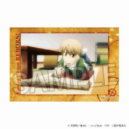 (s)家庭教師ヒットマンREBORN! スタパネ Vol.2 17 送料別880円