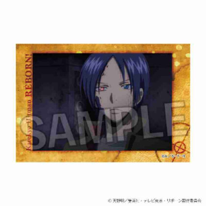 (s)家庭教師ヒットマンREBORN! スタパネ Vol.2 20 送料別880円