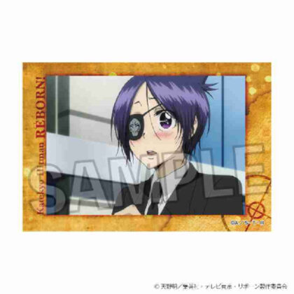 (s)家庭教師ヒットマンREBORN! スタパネ Vol.2 21 送料別880円