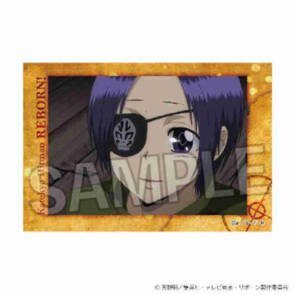 (s)家庭教師ヒットマンREBORN! スタパネ Vol.2 22 送料別880円