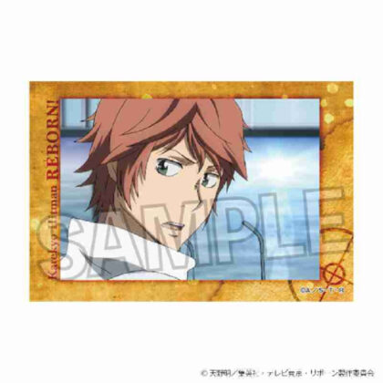 (s)家庭教師ヒットマンREBORN! スタパネ Vol.2 24 送料別880円