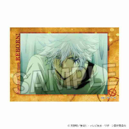 (s)家庭教師ヒットマンREBORN! スタパネ Vol.2 25 送料別880円