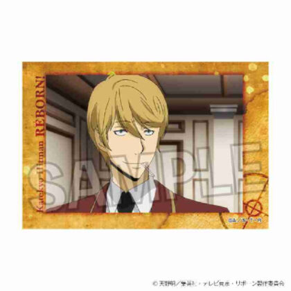 (s)家庭教師ヒットマンREBORN! スタパネ Vol.2 28 送料別880円