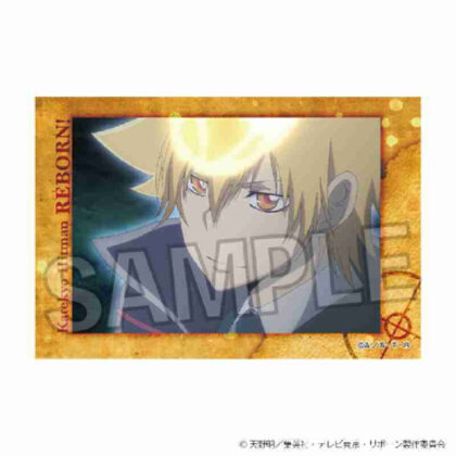 (s)家庭教師ヒットマンREBORN! スタパネ Vol.2 29 送料別880円