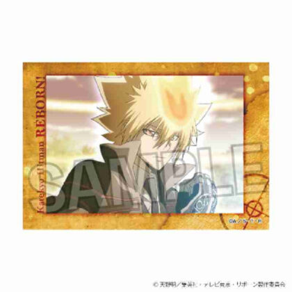 (s)家庭教師ヒットマンREBORN! スタパネ Vol.2 30 送料別880円