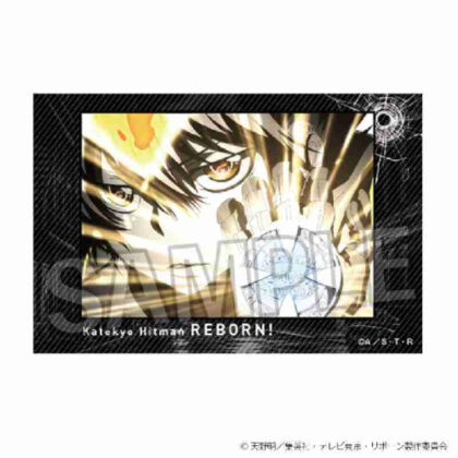 (s)家庭教師ヒットマンREBORN! 積み積みブロック Vol.2 3 送料別880円
