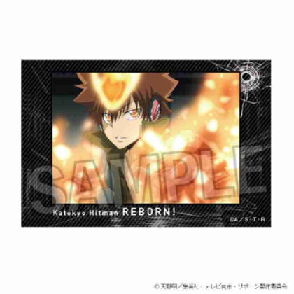 (s)家庭教師ヒットマンREBORN! 積み積みブロック Vol.2 4 送料別880円