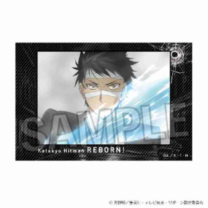 (s)家庭教師ヒットマンREBORN! 積み積みブロック Vol.2 8 送料別880円