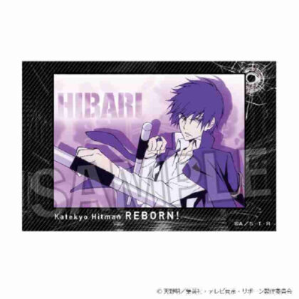 (s)家庭教師ヒットマンREBORN! 積み積みブロック Vol.2 9 送料別880円