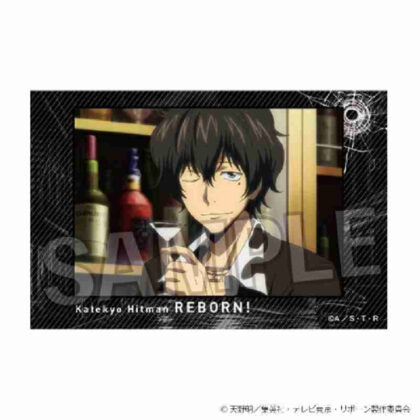 (s)家庭教師ヒットマンREBORN! 積み積みブロック Vol.2 12 送料別880円