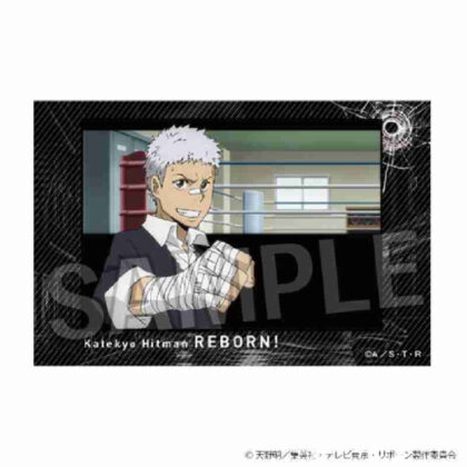 (s)家庭教師ヒットマンREBORN! 積み積みブロック Vol.2 13 送料別880円