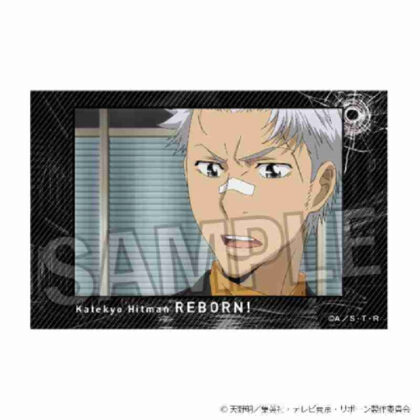 (s)家庭教師ヒットマンREBORN! 積み積みブロック Vol.2 14 送料別880円