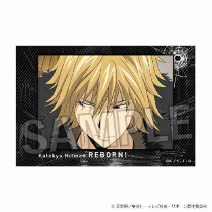 (s)家庭教師ヒットマンREBORN! 積み積みブロック Vol.2 15 送料別880円