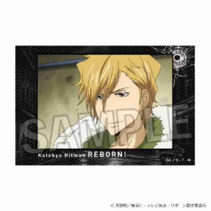 (s)家庭教師ヒットマンREBORN! 積み積みブロック Vol.2 16 送料別880円