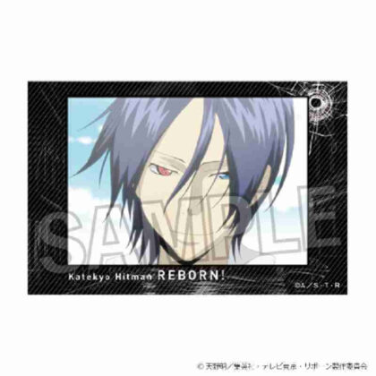 (s)家庭教師ヒットマンREBORN! 積み積みブロック Vol.2 17 送料別880円