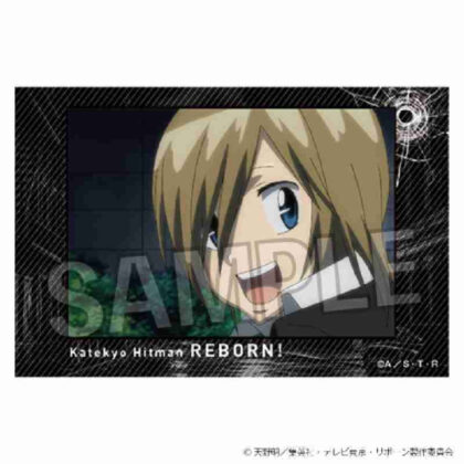 (s)家庭教師ヒットマンREBORN! 積み積みブロック Vol.2 19 送料別880円