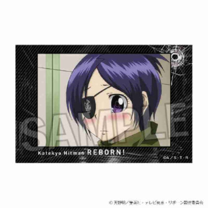 (s)家庭教師ヒットマンREBORN! 積み積みブロック Vol.2 21 送料別880円