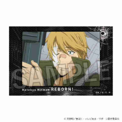 (s)家庭教師ヒットマンREBORN! 積み積みブロック Vol.2 28 送料別880円