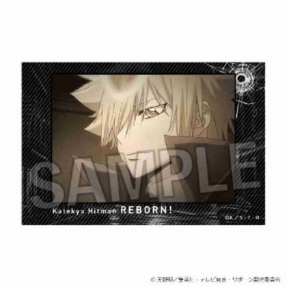 (s)家庭教師ヒットマンREBORN! 積み積みブロック Vol.2 30 送料別880円