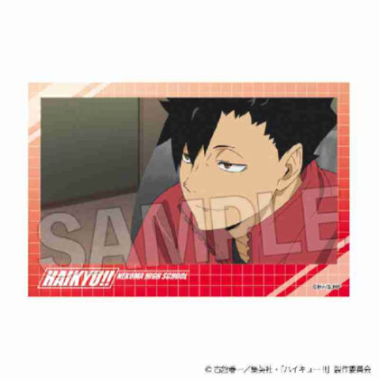 (s)ハイキュー!! 積み積みブロック Vol.7 15 送料別880円