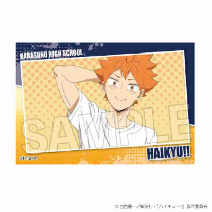 (s)ハイキュー!! スタパネ ミニ Vol.7 1 送料別880円