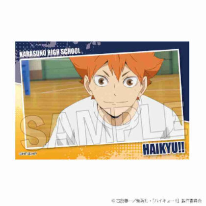 (s)ハイキュー!! スタパネ ミニ Vol.7 2 送料別880円