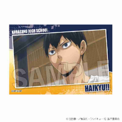 (s)ハイキュー!! スタパネ ミニ Vol.7 5 送料別880円