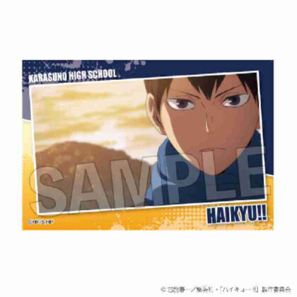 (s)ハイキュー!! スタパネ ミニ Vol.7 6 送料別880円