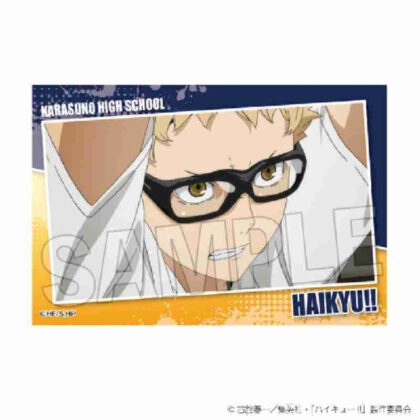 (s)ハイキュー!! スタパネ ミニ Vol.7 8 送料別880円