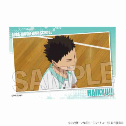 (s)ハイキュー!! スタパネ ミニ Vol.7 14 送料別880円