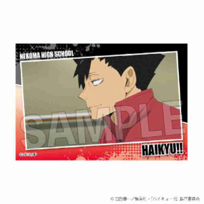 (s)ハイキュー!! スタパネ ミニ Vol.7 15 送料別880円