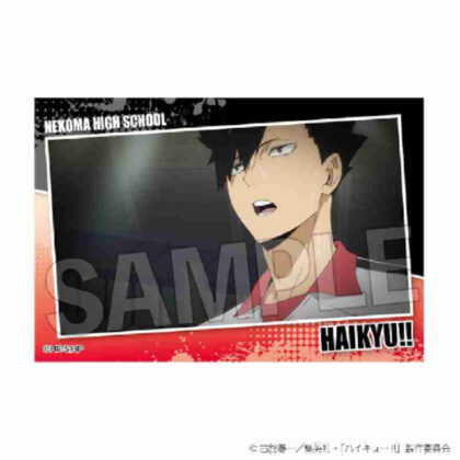 (s)ハイキュー!! スタパネ ミニ Vol.7 16 送料別880円