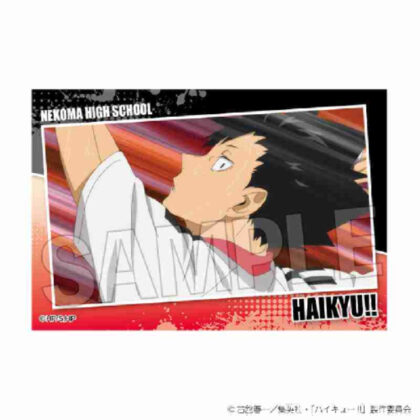 (s)ハイキュー!! スタパネ ミニ Vol.7 17 送料別880円