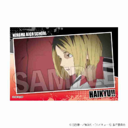 (s)ハイキュー!! スタパネ ミニ Vol.7 18 送料別880円