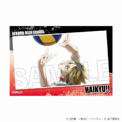 (s)ハイキュー!! スタパネ ミニ Vol.7 19 送料別880円