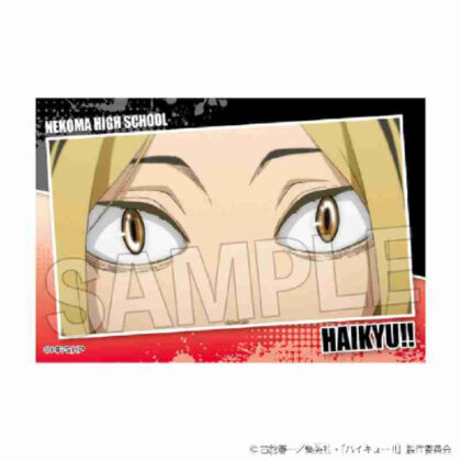 (s)ハイキュー!! スタパネ ミニ Vol.7 20 送料別880円