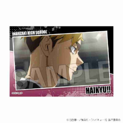 (s)ハイキュー!! スタパネ ミニ Vol.7 26 送料別880円