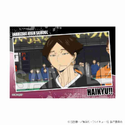 (s)ハイキュー!! スタパネ ミニ Vol.7 29 送料別880円