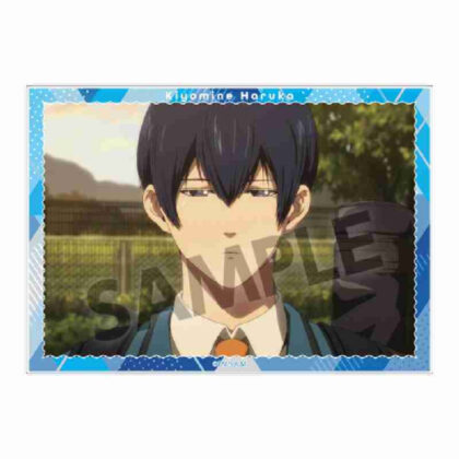 (s)忘却バッテリー A6ビジュアルアクリルプレート Vol.2清峰葉流火 送料別880円