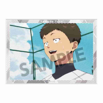 (s)忘却バッテリー A6ビジュアルアクリルプレート Vol.2山田太郎 送料別880円