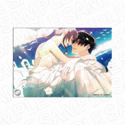 (s)Collar×Malice -Unlimited- ミニアクリルアート柳愛時 Vol.2 送料別880円