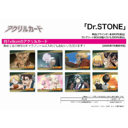 (s)アクリルカード Dr.STONE 11 場面写イラスト 送料別880円