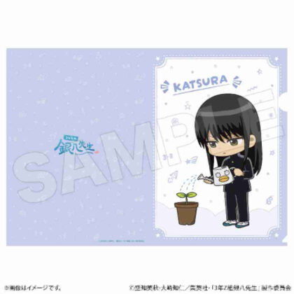 (s)3年Z組銀八先生 クリアファイル 桂小太郎 送料別880円
