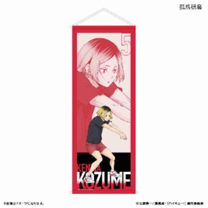 ハイキュー!! BIGタペストリー 孤爪研磨 -レシーブ-