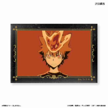 家庭教師ヒットマンREBORN! ミニアートスタンド 沢田綱吉