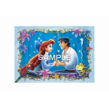 ディズニープリンセス パズルガム