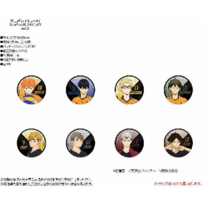 (s)ハイキュー!! カンバッジ Vol.3 送料別880円