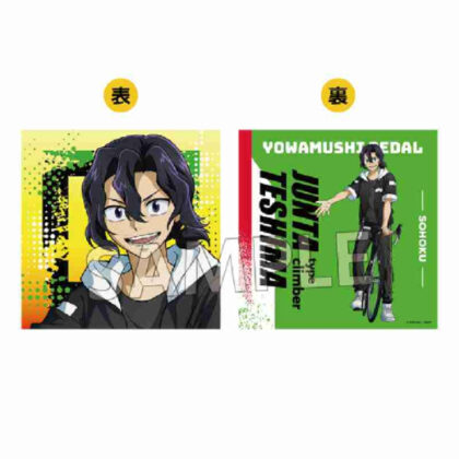 (s)弱虫ペダル LIMIT BREAK ホテルコラボ第2弾 クッションカバー 手嶋純太 送料別880円