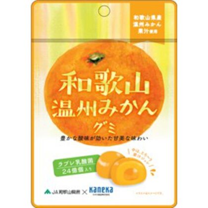 カネカ 和歌山温州みかんグミ 乳酸菌入り４０ｇ  【購入入数１０個】