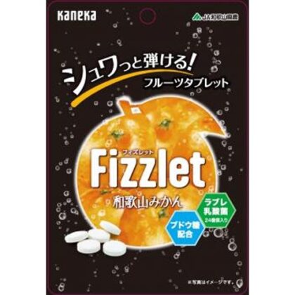 カネカ Ｆｉｚｚｌｅｔ 和歌山みかん２４ｇ □お取り寄せ品 【購入入数１００個】